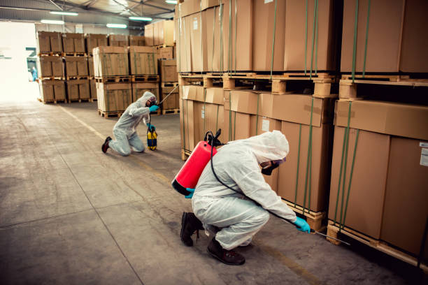 Best Wasp Removal Services  in Hayti, PA