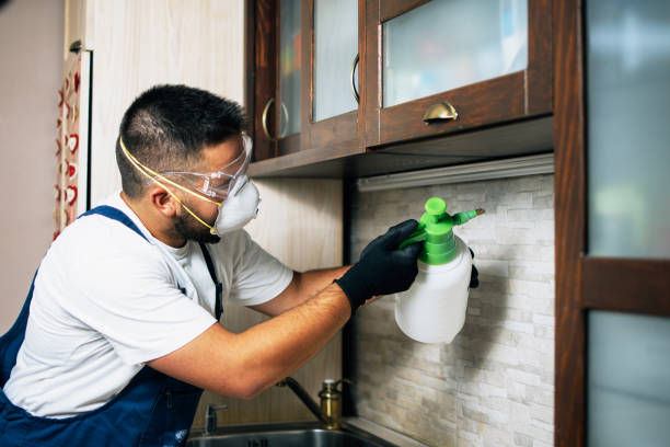 Best Pest Removal Services  in Hayti, PA