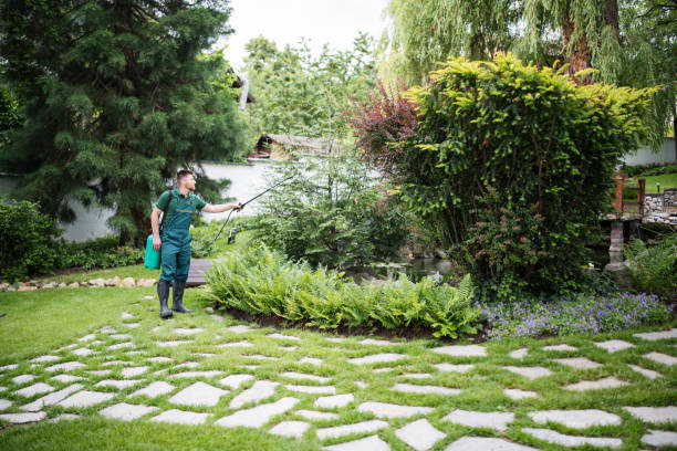 Wasp Removal Services in Hayti, PA